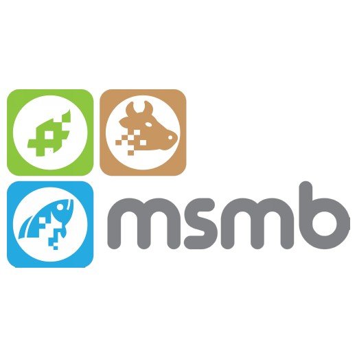 logo-msmb
